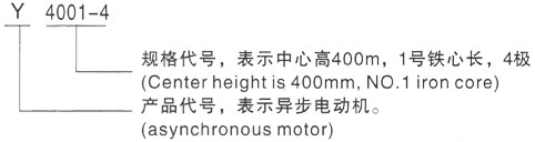 西安泰富西玛Y系列(H355-1000)高压YJTFKK4003-6三相异步电机型号说明